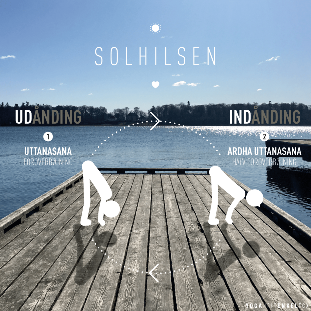 Yoga Enkel-hilsen2